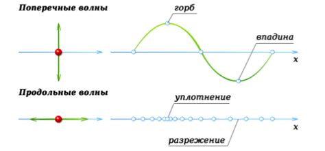 Понятие "волны": что это и как они возникают