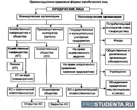 Понятие и значение КБМ для юридических лиц