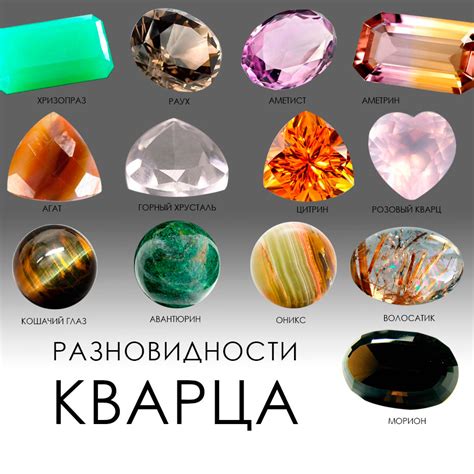 Популярность названия "Пандига"