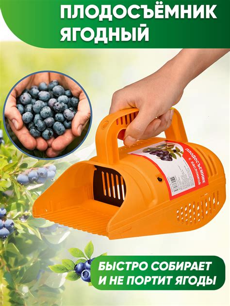 Популярные бренды плодосъемников для ягод