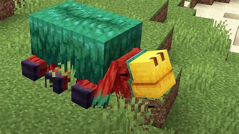 Популярные видеогайды по поиску яйца нюхача в Minecraft
