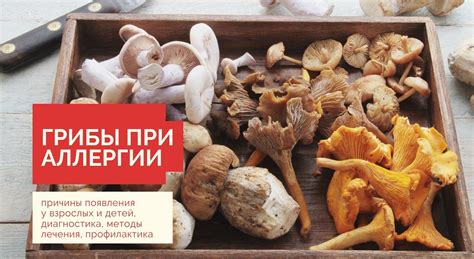 Популярные методы применения грибов при аллергии