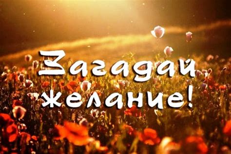 Популярные народные приметы