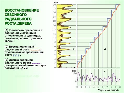 Популярные теории о разной ширине годичных колец