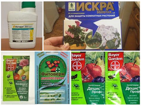Популярные химические препараты для борьбы с тлями