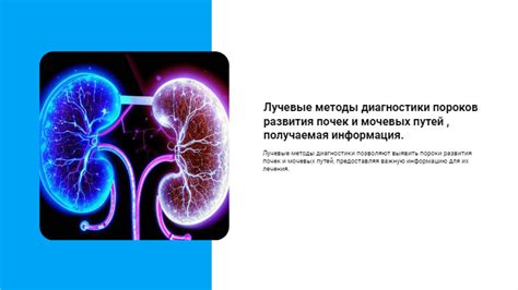 Породинки почек: основная информация