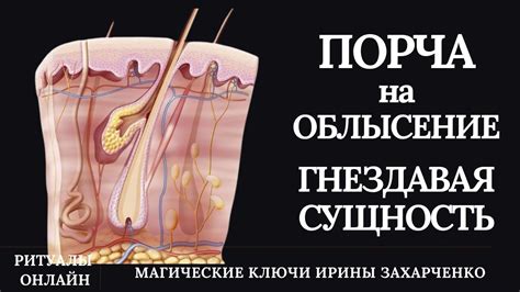 Порча структуры волос
