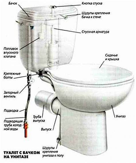 Порядок Туалета: