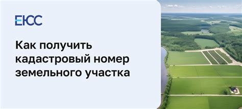 Порядок смены кадастрового номера