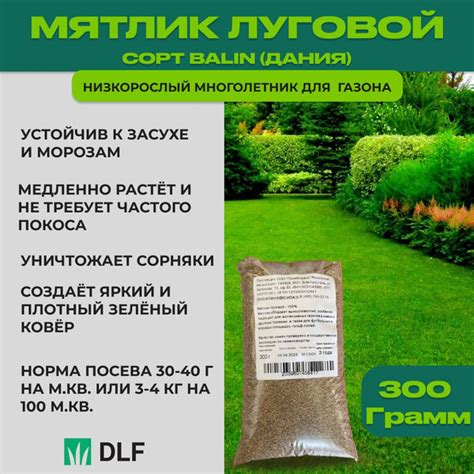 Посадите семена травы или укладывайте газонные газоны