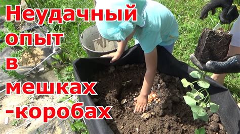 Посадка спор вышенок в мешки