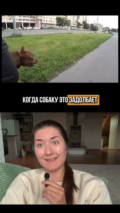 Последствия для Ионыча и окружающих