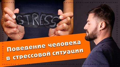 Последствия отключения мозга в стрессовой ситуации