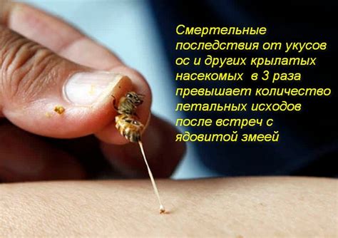 Последствия от укусов пчел и ос
