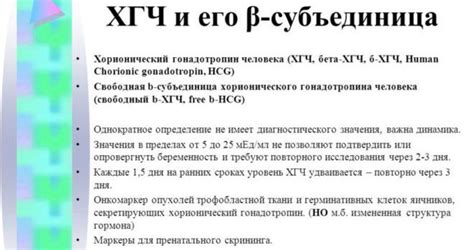 После проведения ХГЧ: рекомендации и забота