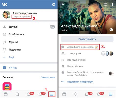 Поставить статус в ВКонтакте "Глажу кота": пошаговая инструкция
