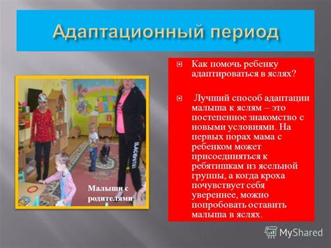 Постепенное знакомство с ребенком