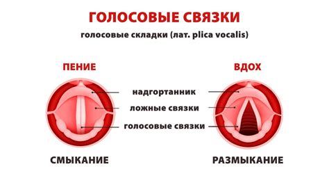 Постепенно увеличивайте нагрузку на голосовые связки
