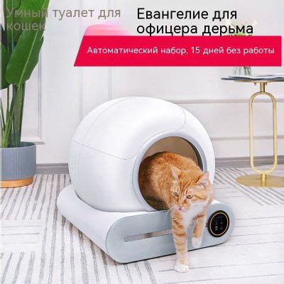 Постоянная уборка туалета для кошек