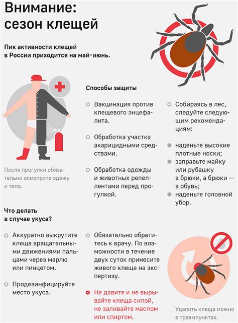 Постоянный контроль и профилактика клеща энцефалита