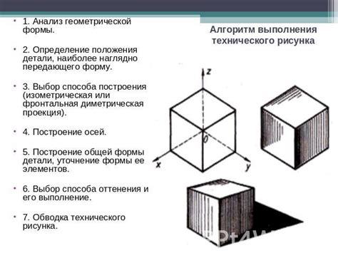 Построение общей формы аиста