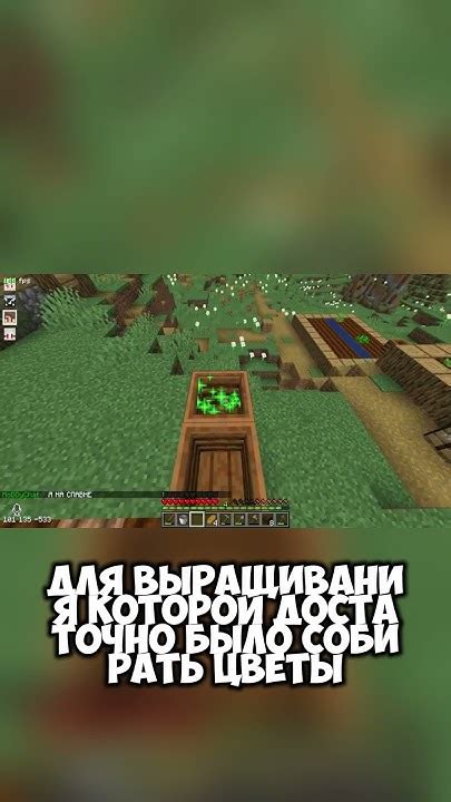 Построение свинга в Майнкрафт