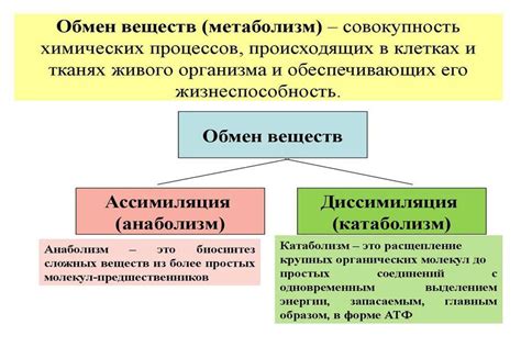 Потенциальные методы вмешательства в вирусный обмен веществ