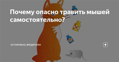 Потенциальные опасности для здоровья