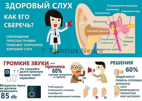 Потенциальные причины шума