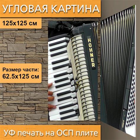 Почему аккордеон - отличный выбор для интерьера дома
