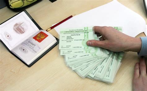 Почему важно знать готовность СНИЛС