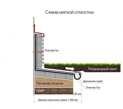 Почему важно не переувлажнять почву с дренажом