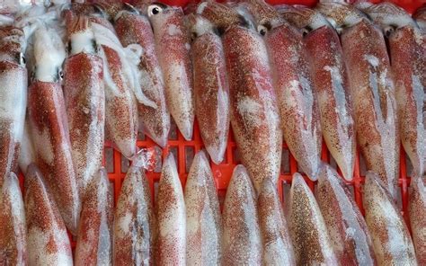 Почему важно очистить кальмары от пленки