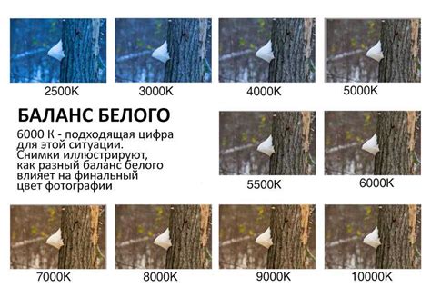 Почему важно правильно настраивать баланс белого