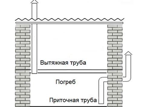 Почему вентиляция в погребе важна
