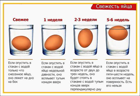 Почему вода помогает определить свежесть яйца