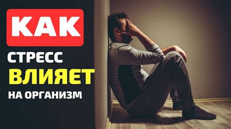 Почему двор может быть поруган и как это влияет на его благополучие