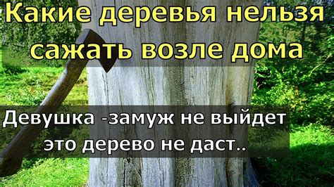 Почему дерево нельзя расплавить