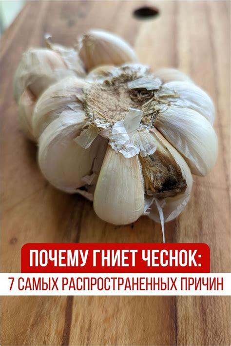 Почему именно чеснок