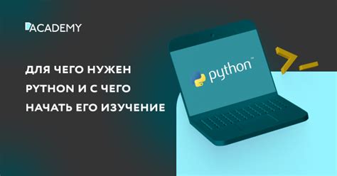 Почему и для чего нужен орел в офисе