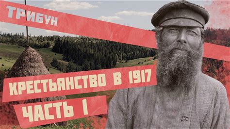Почему крестьяне имеют ограниченный доступ к земле: причины и влияние