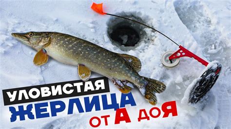 Почему летом жерлица эффективна для ловли щуки