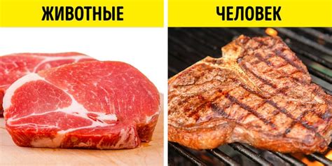 Почему люди отказываются от потребления человеческого мяса
