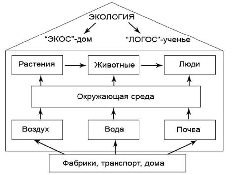 Почему мы изменяемся: факторы и связи