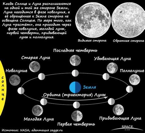 Почему необходимо учитывать фазы луны при стрижке волос