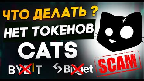 Почему нужно отключить кошелёк