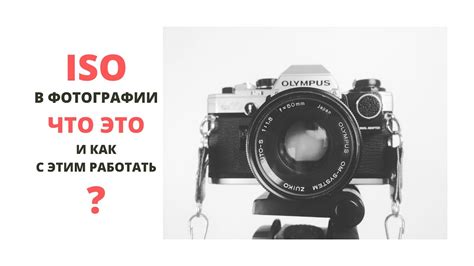Почему нужно регулировать ISO на Nikon D80