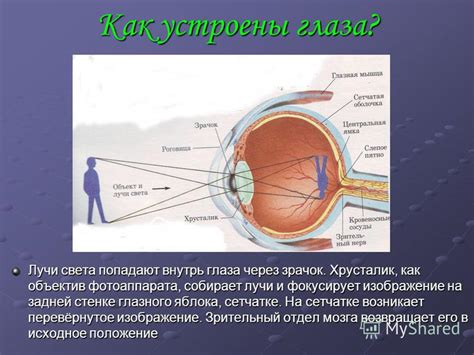Почему песчинки попадают в глаза