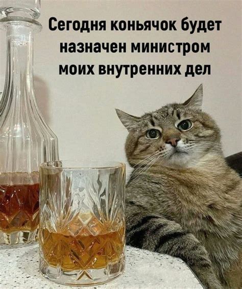 Почему пятница и среда стали популярными днями для публикаций