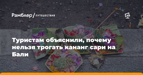 Почему стоит избавиться от сари: проблемы, которые она вызывает